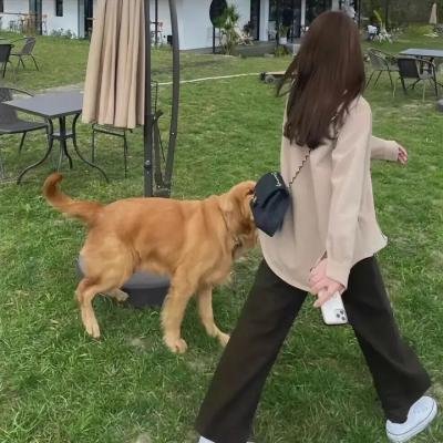 黑土地黄棉袄